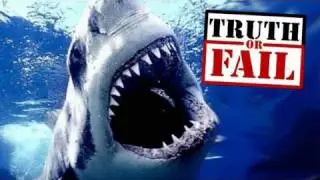 Shark Week Trivia