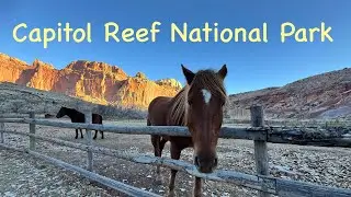 Capitol Reef National Park