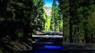 Eldorado National forest