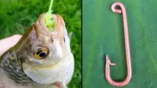 How to make a fishing hook, Hook Strong Sharp Round Bend Fishing Hook, Pina Kong