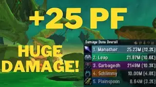 Spiteful makes Frost Mage a god class, even without freezing rain +25 PF 12.2k overall Frost Mage