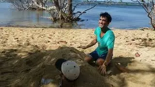 ednas beach and campsite