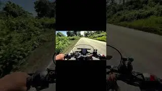 Ktm Duke 250 #duke250 #duke #ktm #duke200 #duke390 #shortsviral #shorts