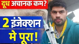 दूध अचानक कम हो गया? 2 इंजेक्शन में पूरा दूध वापस | 100% काम का तरीका