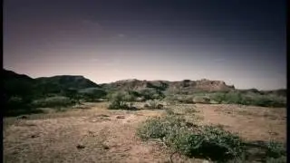 BBC LIFE - Dawson's Bees