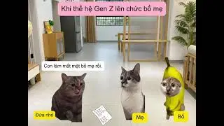 &Ocirc;ng b&ocirc; genz#xuhướng #cat #memes #memecat #xuhuongyoutube 