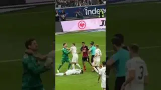 Rudelbildung Frankfurt vs. Freiburg | Trapp &Uuml;berreagiert? #sge #frankfurt #frankfurtvlog #bundesliga