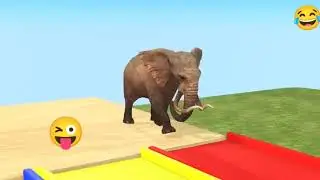 Color Slide Game With Elephant Gorilla Buffalo Hippopotamus Tiger - 3d Animal Game - Funny 3d Animal