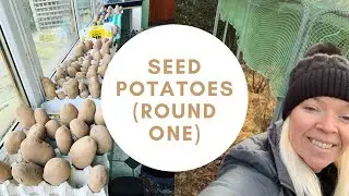 UK seed potatoes variety choices- round 1!