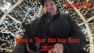 What A Year This Has Been - 2025