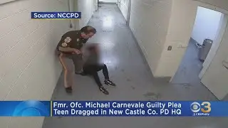 Former Police Officer Pleads Guilty After Dragging Teen Suspect Inside New Castle County Police Head