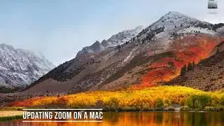 Update Zoom on Your Computer