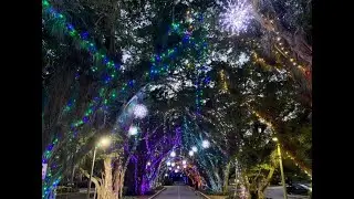 Pinecrest Gardens Nights of Lights FULL WALKTHROUGH 2022