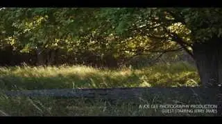A walk in the Muskegon State Park gone wrong!