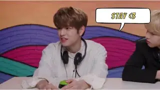 The reason behind Stray Kids fandom name 