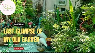 Emotional Goodbye to My Garden | Moving Day Tears| Last Moments in Old Garden|My Beloved Old Garden