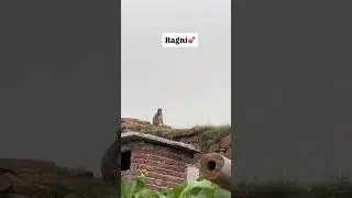 Saiyaara 😨 #coversong #jubinnautiyal #arijitsingh #shortvideo #song