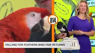 Falling for Feathers Bird Fair Returns Sept. 13 & 14 in Altoona - Morgan Koziar | Studio 814
