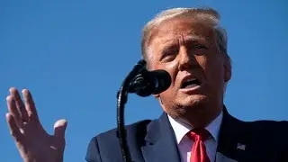 Trump to hold Arizona rally propping up sham audit!