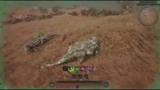 Ano NC fights Small Group
