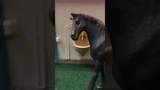 Es ist manchmal schwer&hellip; #traurig#schleich#schleichpferde#sad#shorts#viral#pferde#horses#