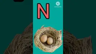 #alphabet #lettersforkids #nurseryabcd #kidslearning #abc #kids #kidsvideo 🍊 🦜🐒💖