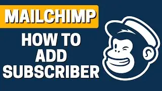 How To Add a Subscriber In Mailchimp 2020
