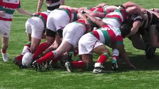 Bective v Terenure O'Conor cup 2019 April 20