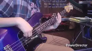 Don't Dream It's Over [Crowded House] bass cover 