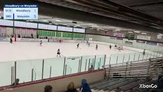 XbotGo Live Stream
