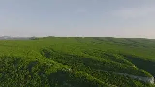 🌲🍃 Secrets of the Depths: 4K Landscape of a Enigmatic Deep Forest 🌳🎥
