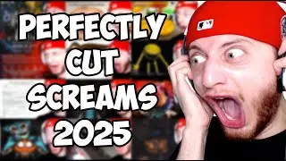 Best Perfectly Cut Screams 2025