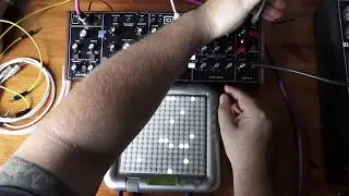 Behringer Model D Unboxing