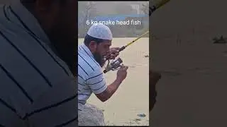 6 kg snake head fish missing#fishing #viral  MD Shabbir hunting😭💘✌