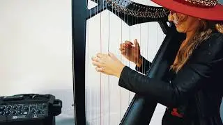 Harpy Artemis 29 Strings with Levers - Black Matte | Harp for Sale --- FREE shipping within the US