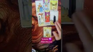 SCORPIO ♏️ Tuesday&rsquo;s Energy September 9 🦂 Wait This Out 💫  #Tarot #Daily #September9