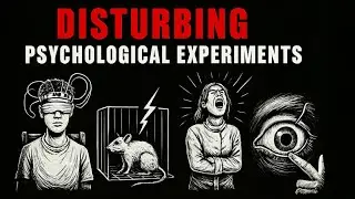 Disturbing Psychological Experiments That Shattered Humanity (3+ Hours) - to Fall Asleep To