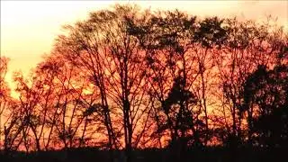 Walking home and watching the sunset in my hometown in Bavaria Germany !