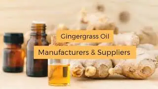 Ginger grass Oil Uses