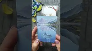 А чем кричит внутреннее Я?