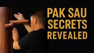 Wing Chun Pak Sau Training
