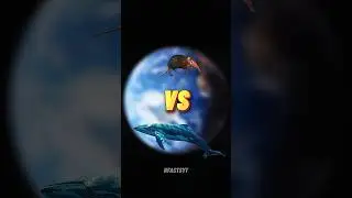 Comparison Between The World's Smallest And Biggest Animals | Day- 4