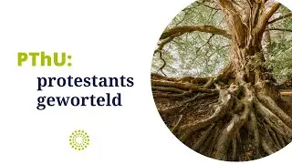 PThU: Protestants geworteld