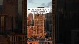 31. How many public libraries are in Chicago?