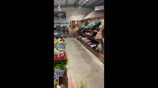 Review of Gibson's Farm Shop, Wingham, Kent.