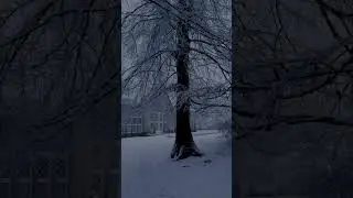 #schnee #winterstimmung #wintermood #snowlover #winterzauber #winterlover