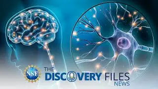 Placing a Sensor Directly on the Brain #science #news #brain