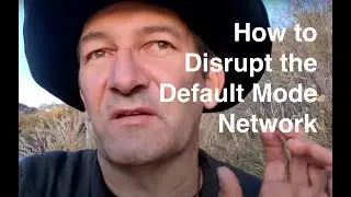 How to hack the Default Mode Network by Florian Birkmayer MD