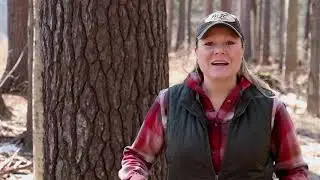 Predator Prey Research Project, Kids Ice Fishing, Traditional Archery show; MOOD TV #1911
