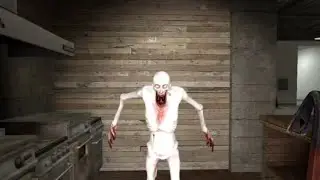 Still Running From Shy Guy In #gmod